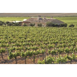 CASA RURAL DEL LABRADOR