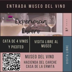 EXPERIENCIA ENVERO