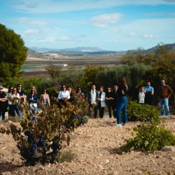 EXPERIENCIA MONASTRELL